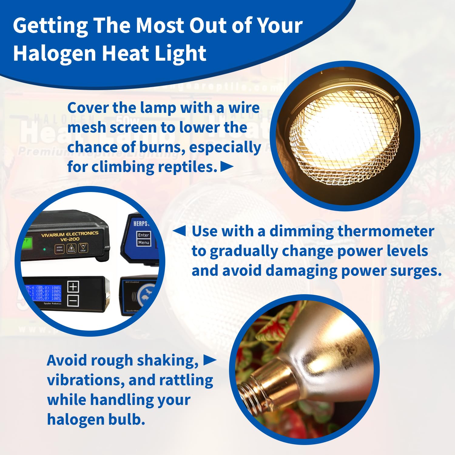 Pangea 50W Halogen Heat Lamp For Reptiles - Warming Uva And Infrared Light For Turtles, Tortoises, Bearded Dragons - Heating Bul